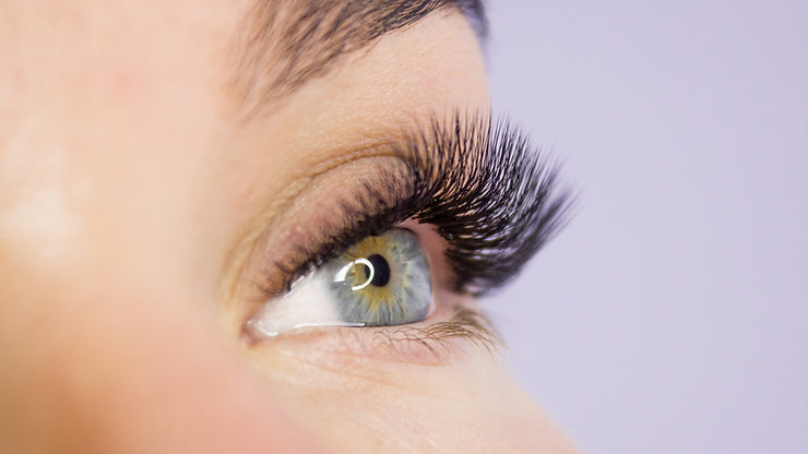 Ch'i Lash: A History of Our Eyelash Product Line and Technician Program